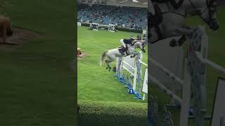 Throwback to Dublin Horse Show 2022 😍 can’t wait to go again next year video by me fypシ shorts [upl. by Yrennalf]