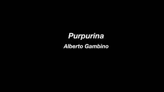 Purpurina  Alberto Gambino  Lyrics [upl. by Katusha]