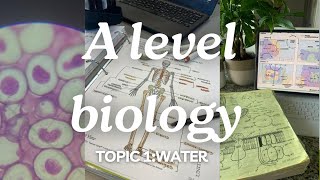 A level biology edexcel a SNAB Topic 1 Water [upl. by Akapol]