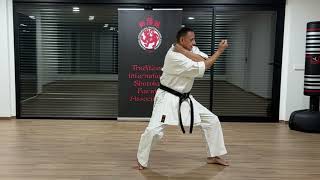 The Official Tiska Karate  2 Heian Nidan Detailed Tips [upl. by Bolme]