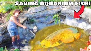 Saving Rare AQUARIUM FISH From DEADLY Fountain [upl. by Sweet]