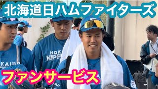 稲葉篤紀 監督率いる【北海道日ハムファイターズ】みやざきフェニックスリーグでのファンサービス‼️ [upl. by Ylatfen14]