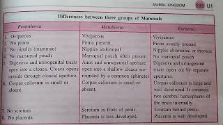 difference between protheria metatheria and eutheria mammals best handwritten study notes [upl. by Lewse]