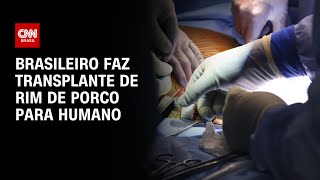 Brasileiro faz transplante de rim de porco para humano  BASTIDORES CNN [upl. by Eerak]