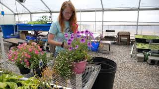 Wilkes Community College Horticulture Technology [upl. by Bigod]