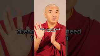 Yongey Mingyur Rinpoche [upl. by Aihsekyw]