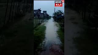 Watch  Cyclone Dana makes landfall in Odisha trees uprooted roads blocked amid severe storm [upl. by Jammie]