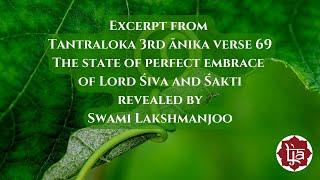 The perfect embrace of Shiva and Shakti [upl. by Annaes]