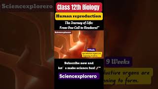 Human Reproduction Class 12th Biology chapter 3 neet  Cbse ncert Part 4 [upl. by Ylsew255]