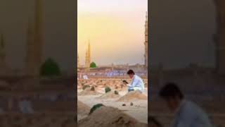 Noor Wala Aya Ha  Farhan Ali Qadri islam freepalestine shorts youtubeshorts shortvideo viral [upl. by Sterne]