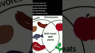 Sciences herbivores  carnivores and omnivores [upl. by Cired]