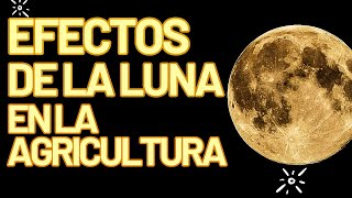 INFLUENCIA DE LA LUNA EN LA AGRICULTURA Agroecología [upl. by Persian]