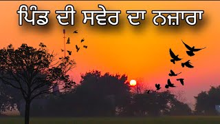 morning sunlight  morning time  Punjab  beautiful sunlight  Khet in punjab  new video 2024 [upl. by Farro]