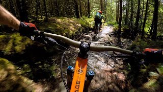 NOTHING BUT THE BEAST  Mountain Biking Coed y Brenin in Wales [upl. by Krug507]