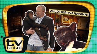 Die süßesten WildtierAuftritte bei TV total  Best of  TV total [upl. by Delwin403]