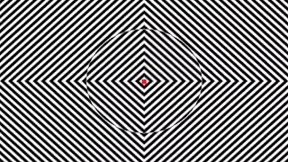 THIS OPTICAL ILLUSION MAKES YOU FEEL HIGH [upl. by Nyla]