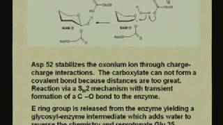 Lecture  10 Enzyme Mechanisms I [upl. by Thilda331]