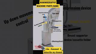 Mammography machine parts name radiology mammography radiology education study shorts short [upl. by Annahaj]