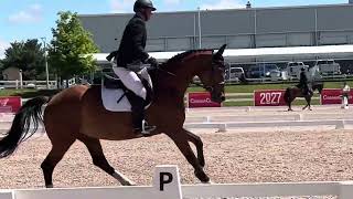 NoraDessa at her first dressage show [upl. by Namas]