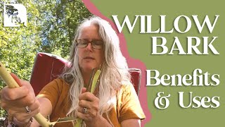 Willow Bark Benefits and Uses [upl. by Meggs]