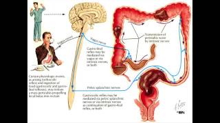 Constipation and the Colon  Mayo Clinic [upl. by Gibbeon75]