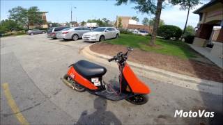 70cc Honda SA50 2 Stroke Scooter Fun Chicago [upl. by Armyn]