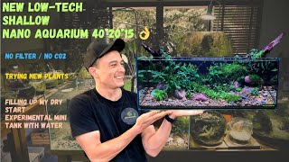 SHALLOW LOWTECH AQUARIUM  402015  NO FILTER  NO CO2 [upl. by Yenohtna]