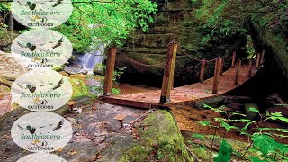 Alabama Exploring  Dismals Canyon  May 2020 [upl. by Dedric]