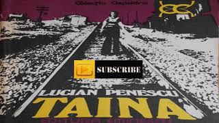 Lucian Penescu Taina  4 sfarsit  Colectia Clepsidra 1980  Carte politistacartiaudioaudiobook [upl. by Milurd]