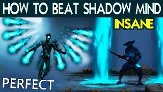 Shadow Fight 3 Defeat Shadow Mind with PERFECT on INSANE Tactics and Best Shadow Abilities [upl. by Ramsay]