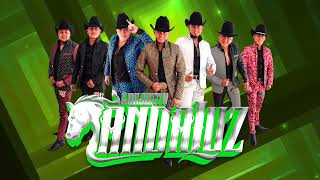 Inténtalo  Conjunto Andaluz Estreno 2022 Huapango Merequetengue [upl. by Sylvanus]