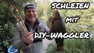 SCHLEIEN mit DIYWAGGLER tench coarsefishing [upl. by Shaum876]