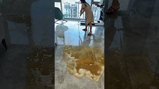 Since I got this magic broom cleaning has become much easier viralvideo youtubeshorts [upl. by Frank]