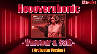 karaoke  Hooverphonic  Vinegar amp Salt Orchestra Version [upl. by Ilahsiav]