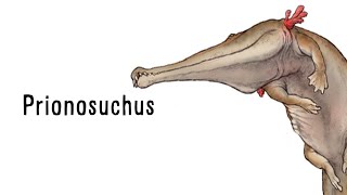 Paleo Profile  Prionosuchus [upl. by Raimondo]