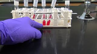 PNW Westville  Microbiology Phenol Red Broth Test [upl. by Ulrikaumeko159]