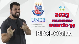 UNEB 2023  Questão 35  O transporte de frutas para grandes distâncias sem que elas amadureçam [upl. by Alleber]