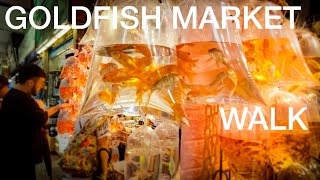 Hong Kongs Goldfish Market [upl. by Buiron]