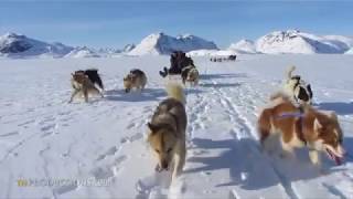 ➤ El PUEBLO INUIT  Por Francesc Bailón [upl. by Elatsyrc]