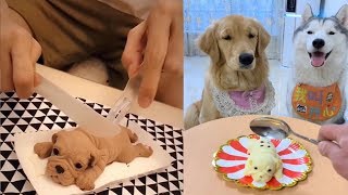 Dog Reaction to Cutting Cake  Funny Dog Cake Reaction Compilation [upl. by Beichner233]