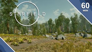 Starfield Jemison Planet Coniferous Forest  4K [upl. by Fleming460]