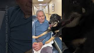 Dog escapes shelter sneaks into nursing home so residents adopt him  Animalkind shorts [upl. by Jorry]