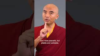 Give the monkey mind a job  Mingyur Rinpoche meditation mentalhealth [upl. by Iht633]