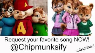 Jessie J  Whos laughing now BY THE CHIPETTES [upl. by Bidle]