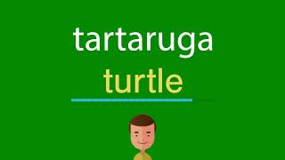 Como dizer tartaruga em inglês [upl. by Yong310]