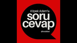 Ücretsiz Soru Cevap  Canlı köpek sorucevap çağrıaracı köpekadam [upl. by Anetsirhc]