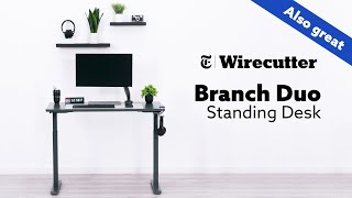 Why Was This Standing Desk Picked By Wirecutter [upl. by Erdnaek]