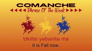 Comanche Phrase of the Week 10424 [upl. by Silin]