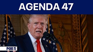 Trumps quotAgenda 47quot calls for sweeping changes to federal workforce [upl. by End481]