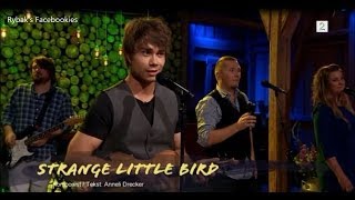 Alexander Rybak  Strange Little Bird  lyrics [upl. by Monica743]